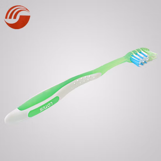 Free Sample Nylon Bristle Oral Fresh Small Head Adult Toothbrush
