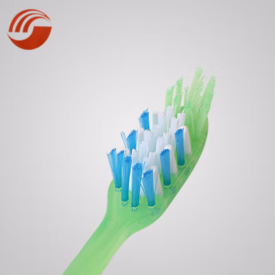 Free Sample Nylon Bristle Oral Fresh Small Head Adult Toothbrush